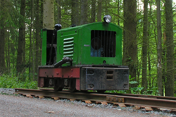 LKM Ns1